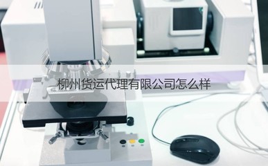 柳州貨運(yùn)代理市場分析 優(yōu)質(zhì)企業(yè)盤點(diǎn)與商務(wù)代辦服務(wù)指南
